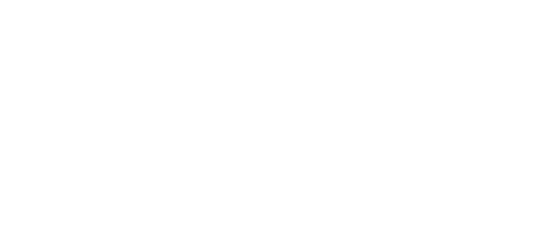 Bansir Investment Group